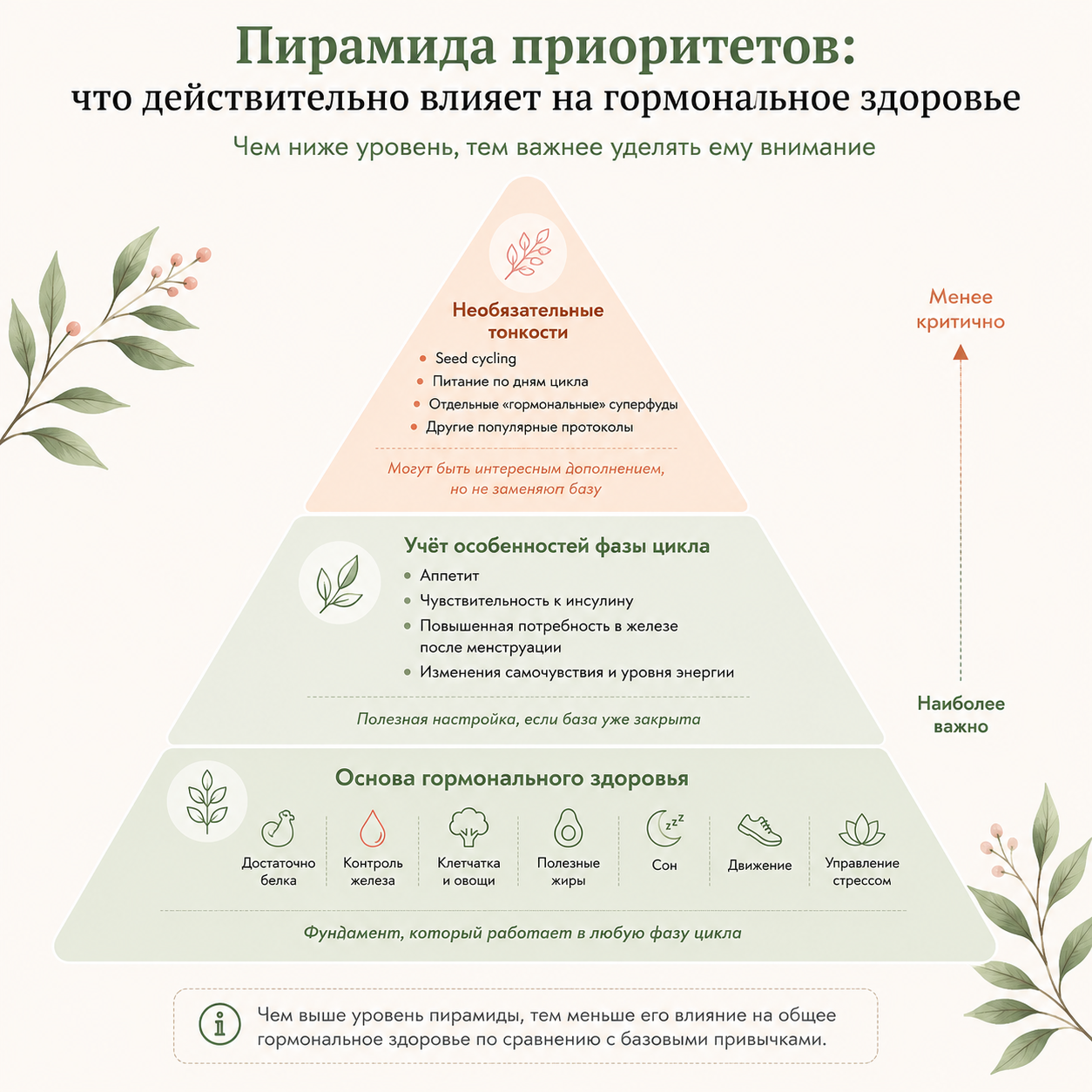 Питание по фазам цикла: что есть в каждую фазу, чтобы поддержать гормоны и самочувствие