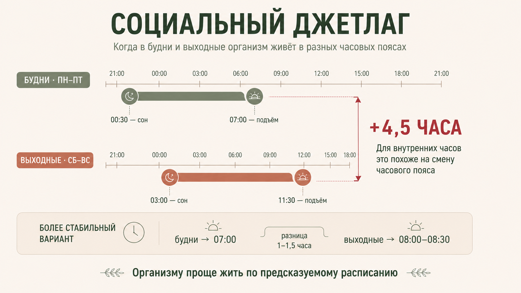 Недосып и сбитые ритмы: почему спишь вроде достаточно, а сил всё равно нет