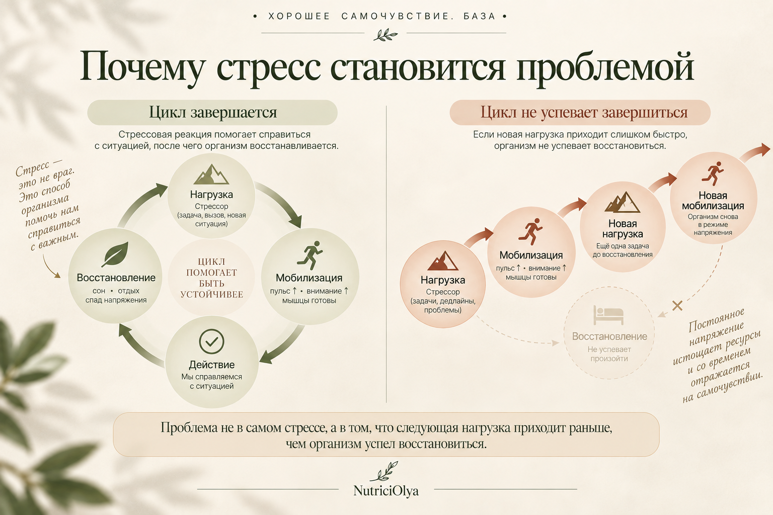 Шаг 6. Стресс: когда защита организма начинает работать против нас